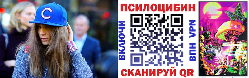 купить   Новосокольники  Псилоцибиновые грибы Magic Shrooms 