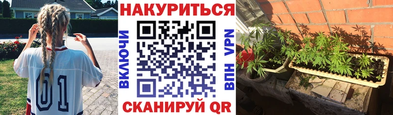 Шишки марихуана ГИДРОПОН Новосокольники